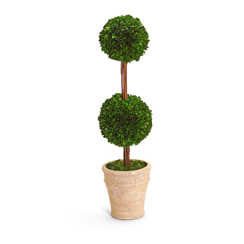 Preserved Boxwood Cone Topiary