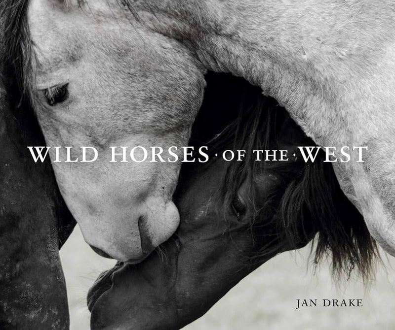 Wild Horses of the West by Jan Drake