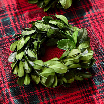 Set of 4 Preserved Boxwood Wreath Napkin Rings