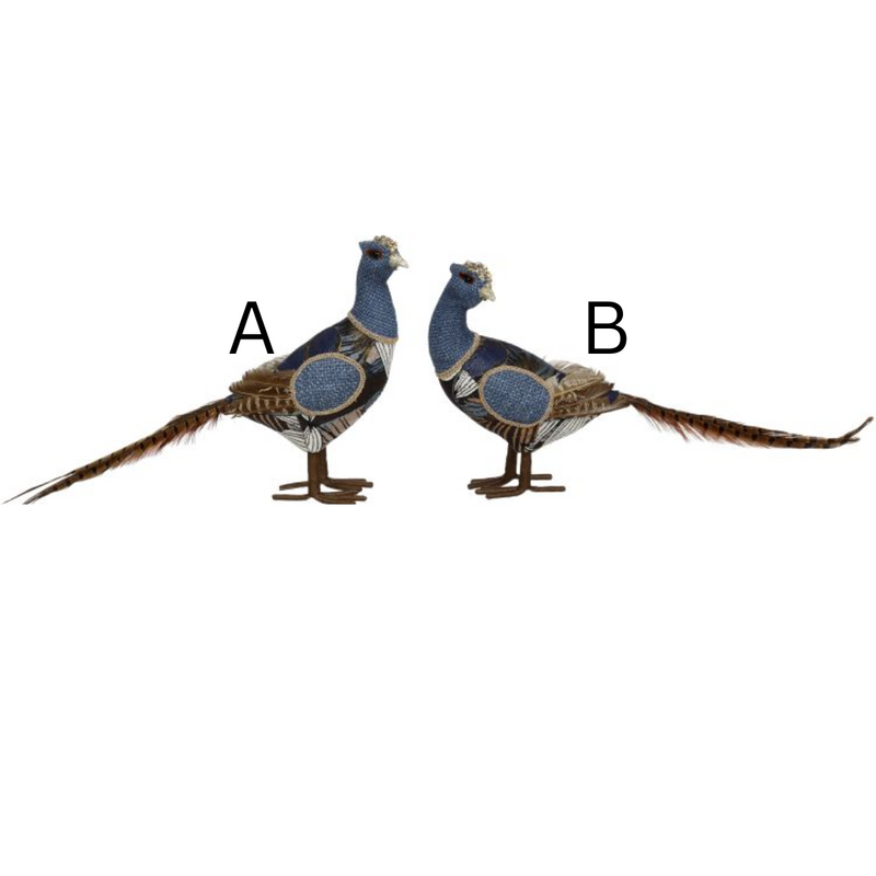 Fancy Pheasant
