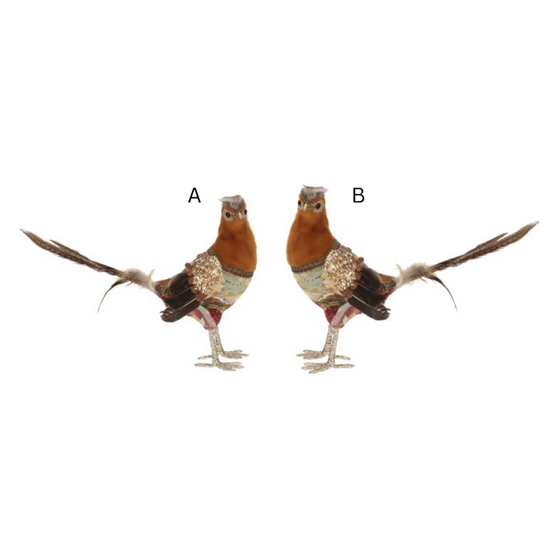 Fancy Pheasant