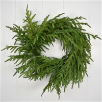 Natural Touch Grand Norfolk Pine Wreath