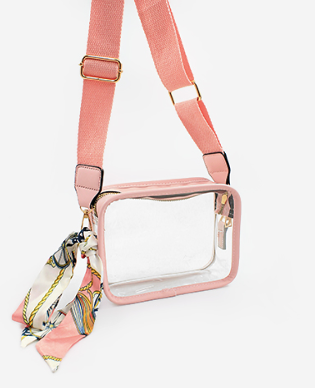 Clear Mini Rectangle Bag