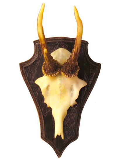 The Hunt Club Reproduction Antler Trophy