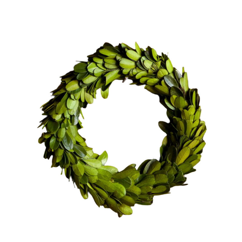 Mini Preserved Boxwood Wreath