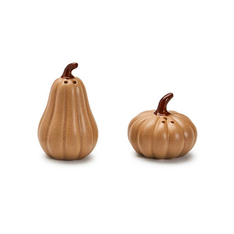 Pumpkin & Gourd Salt & Pepper Shaker