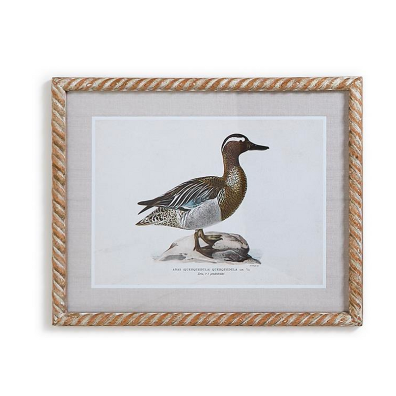 Duck Wall Art