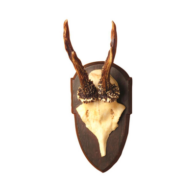 The Hunt Club Reproduction Antler Trophy
