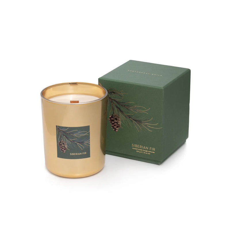 Siberian Fir Gold Wood Wick Candle in Holiday Green Gift Box