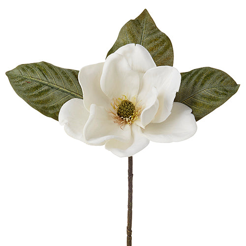 Magnolia Pick