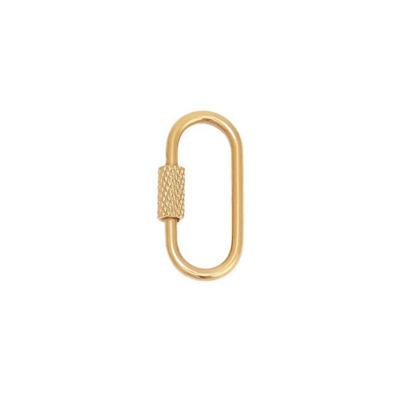 Carabiner Clasp Charm