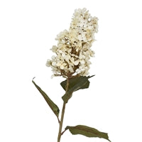 38” Panicle Single bloom Hydrangea Stem - Cream