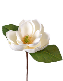 13" Magnolia Pick-White